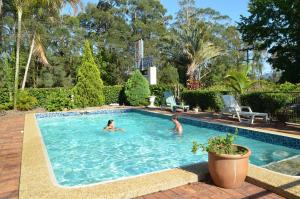 a man swimming in a pool next to a swimming pool at Beerwah Glasshouse Motel in Beerwah