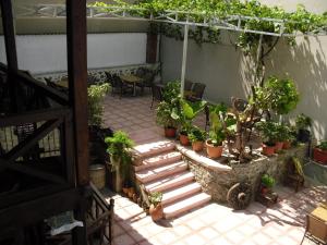 a patio with a bunch of potted plants and stairs at Guest House Bujtina Leon in Korçë