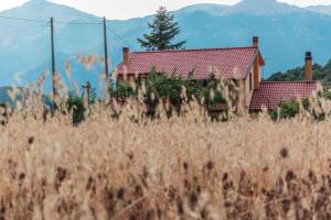 Loodusmaastik of the bed and breakfast lähedal