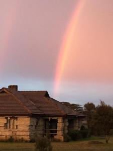 奈瓦沙Shwari Cottages的相册照片