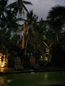 Zahrada ubytování Uma Loris Ubud
