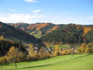 una vista de un valle en las montañas con árboles en Ferienwohnung Dörflinger en Ottenhöfen