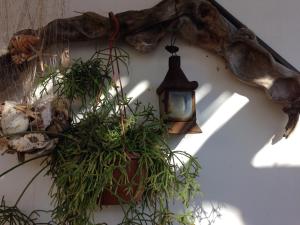 Fotografie z fotogalerie ubytování La Lampara v destinaci Stromboli