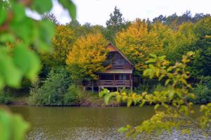 Fotografie z fotogalerie ubytování Rancho 555 v Užhorodu