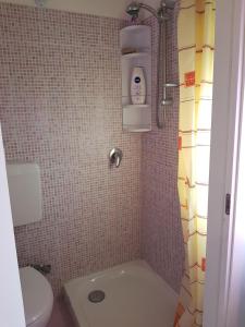 a small bathroom with a toilet and a shower at Bed And Breakfast Adrj in Cavriago