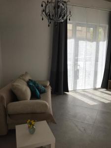 Posezení v ubytování Street Flat