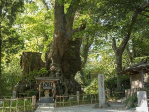 A garden outside TKP Lectore Atami Momoyama