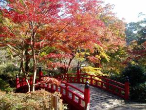 A garden outside TKP Lectore Atami Momoyama