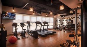Fitness centrum a/nebo fitness zařízení v ubytování Rose Park Hotel - Al Barsha, Opposite Metro Station