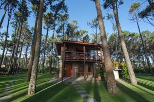 dom w lesie z drzewami w obiekcie Il Belvedere w mieście Punta del Este