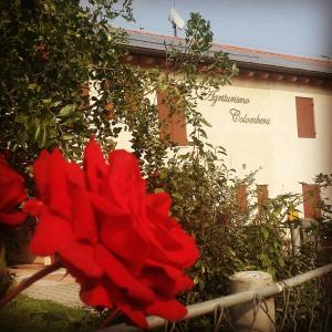 Zahrada ubytování Agriturismo Colombera