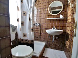 a bathroom with a toilet and a sink and a mirror at Guest house Ribaric in Rab +20 photos