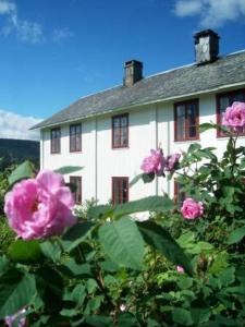 a white house with pink flowers in front of it at Dale Gård in Heggenes