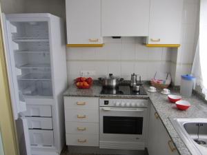 Kuchyň nebo kuchyňský kout v ubytování Apartamento Jardin II