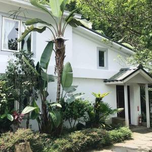 竹東鎮的住宿－丘上行館，前面有棕榈树的白色房子
