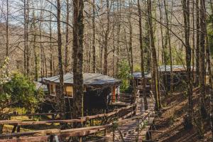 a pair of huts in a forest with trees at Huilo Huilo Canopy Village in Huilo Huilo +20 photos