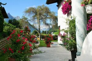 A garden outside Haus Erika