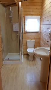 a bathroom with a toilet and a shower and a sink at The Cabin @Tenacre in Boston +5 photos