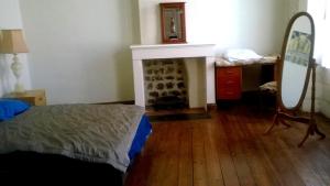 ein Wohnzimmer mit Kamin und Spiegel in der Unterkunft La Maison de l'Aubépin in Saint-Savinien + 7 Fotos