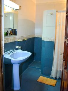 a blue bathroom with a sink and a shower at Sayta Hostal in Salta