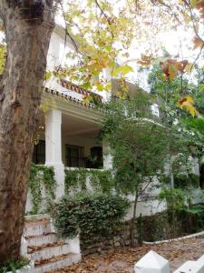 Zahrada ubytování Apartamentos Los Manueles