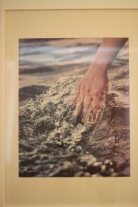 Fotografie z fotogalerie ubytování Apartments VMadeira ve Funchalu