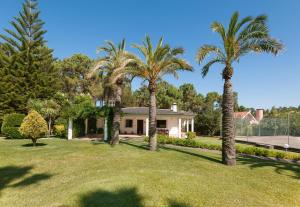 Gallery image of Villa das Palmeiras in Charneca