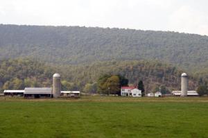 a farm with two silos and a barn in a field at Lost River Motel in Lost City