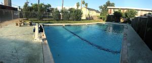 a swimming pool with blue water in a yard at Siesta Inn McAllen in McAllen