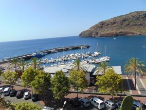 a marina with a bunch of boats in the water at Marques House in Machico