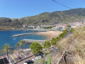 a view of a beach with palm trees and a city at Marques House in Machico
