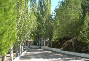 eine von Bäumen gesäumte Straße mit Bürgersteig in der Unterkunft Lago Resort in Nuévalos