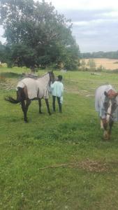 門斯特羅斯的住宿－尼加茲鄉村莊園住宿加早餐酒店，站在田野上两匹马旁边的人