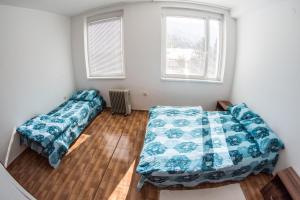 two beds in a room with two windows at Apartment Vera in Pluzine