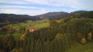 an aerial view of a hill with trees and a house at Hotel Bayerischer Wald in Neukirchen