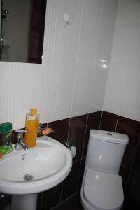 a bathroom with a white sink and a toilet at RiverSide Hostel Borjomi in Borjomi