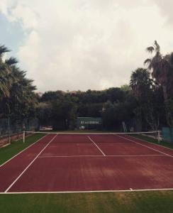 a tennis court with palm trees in the background at Amalia Apartments in Polis Chrysochous