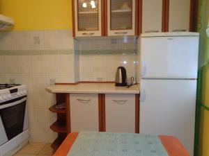 Kuchyň nebo kuchyňský kout v ubytování Apartament na Nowickiego + 8 fotografií