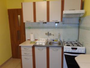 Kuchyň nebo kuchyňský kout v ubytování Apartament na Nowickiego