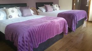 two beds with purple blankets in a room at Maghernahar House B&B in Ballycastle