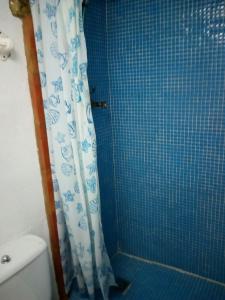 プリエゴ・デ・コルドバにあるAlojamiento rural El Batánの青いタイル張りのバスルーム(シャワー、トイレ付)
