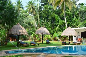 un resort con piscina, sedie e ombrelloni di Traum Villa a Bentota