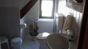 オストゼーバート・ディアーハーゲンにあるFerienwohnung in Boddennäheのバスルーム(洗面台、トイレ付)、窓が備わります。