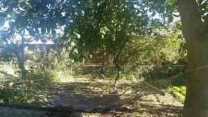 Giardino di Savane