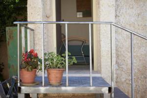 Due piante in vaso sono sedute in veranda di Irit's Apartment a Neve Ilan