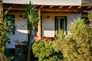 Zahrada ubytování Villa Pergola Andros