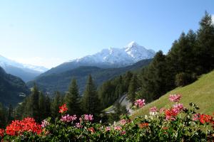 Galeriebild der Unterkunft Appartement Ferienglück in Sölden