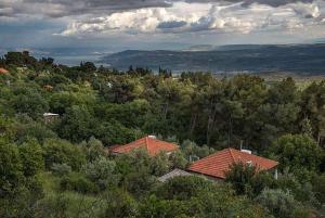 Φυσικό τοπίο κοντά σε αυτό το bed & breakfast