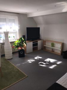 ein Wohnzimmer mit einem Flachbild-TV und ein Zimmer mit einer Anlage in der Unterkunft Casa Christina in Orschweier