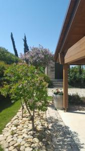 A garden outside L'Orso e L'Ape B&B